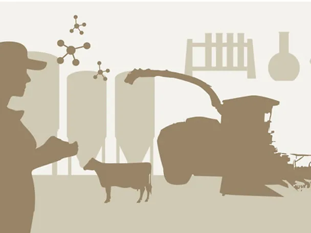 Frau Mähdrescher Kuh Silos