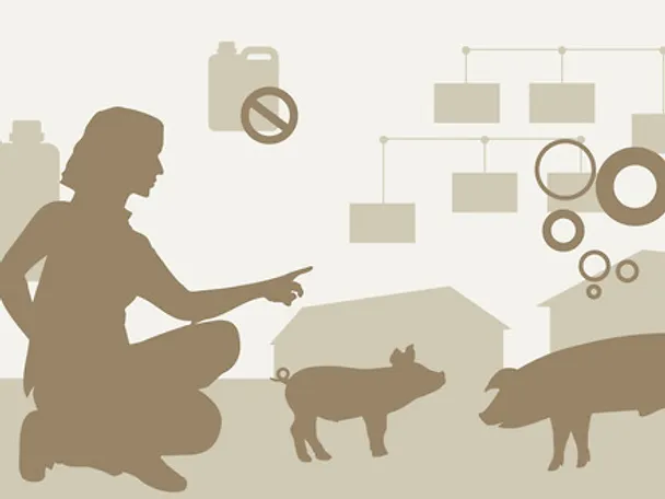 Motiv Frau Schweine Diagramm