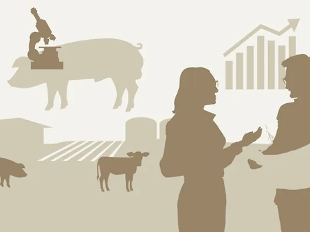 Mann Frau Gespräch Zettel Mann Frau Gespräch Zettel