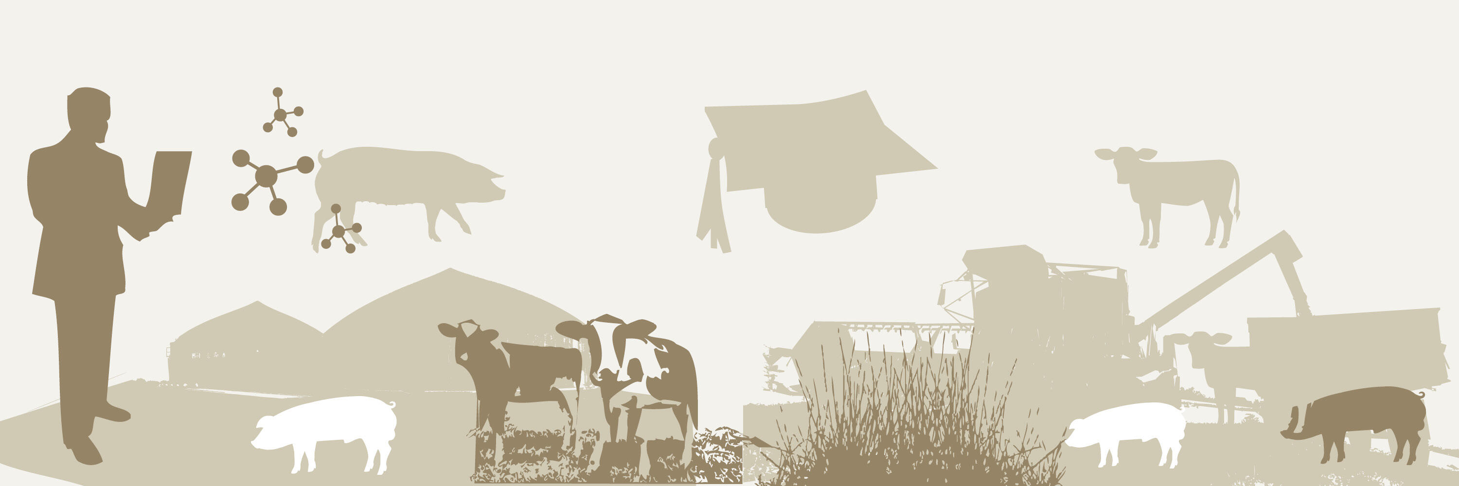 H. Wilhelm Schaumann Stiftung H. Wilhelm Schaumann Stiftung