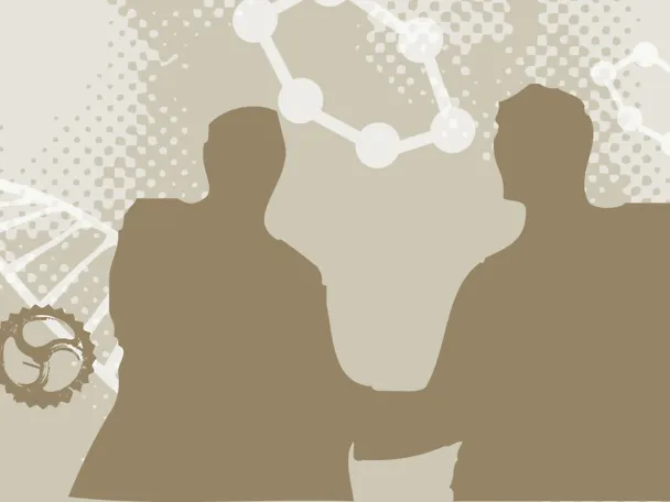 H. Wilhelm Schaumann Stiftung H. Wilhelm Schaumann Stiftung