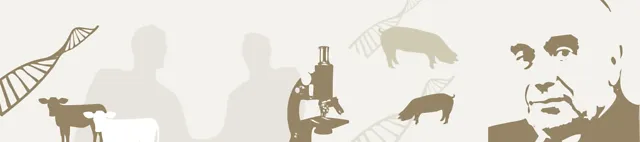 H. Wilhelm Schaumann Stiftung