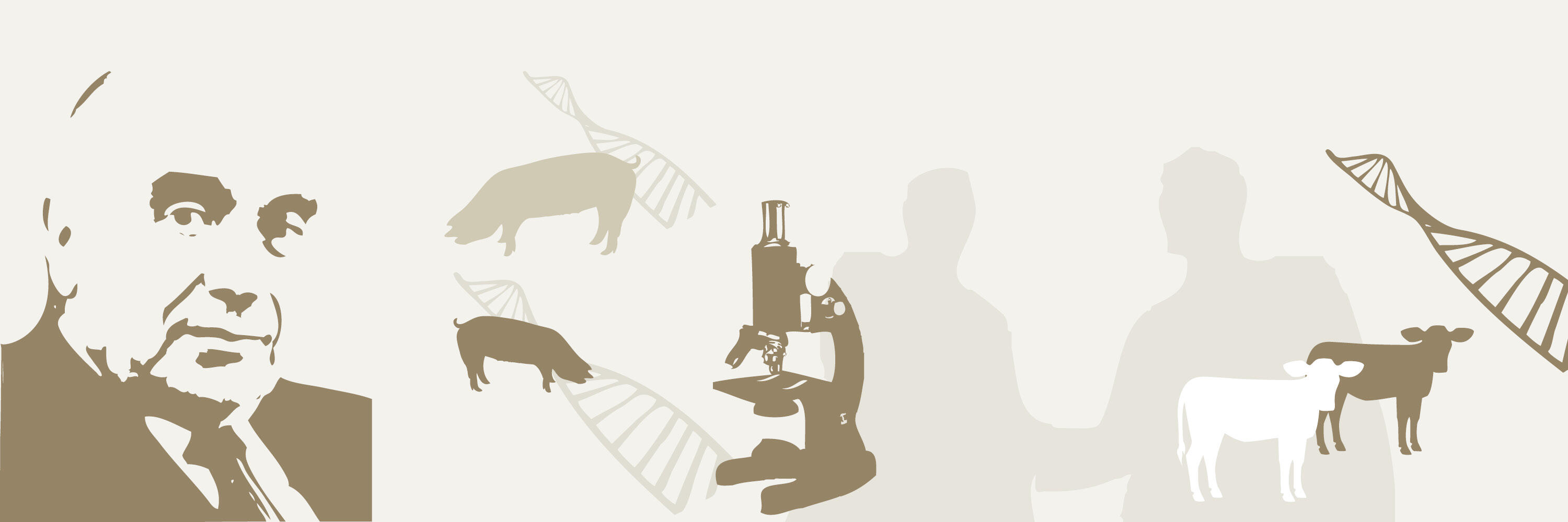 H. Wilhelm Schaumann Stiftung H. Wilhelm Schaumann Stiftung